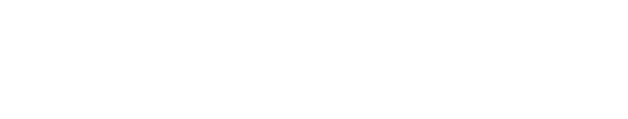 STORY.vizjournal.com